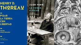 Lecturas