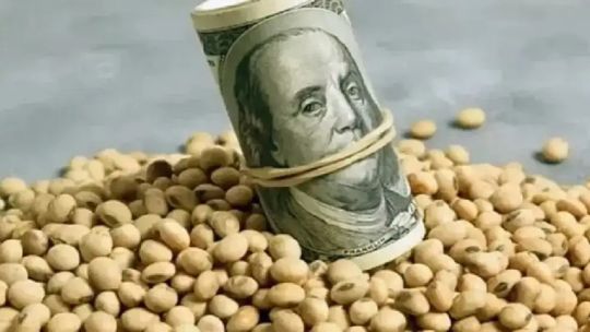 Generación de dólares para Argentina: “El agro va a ir perdi