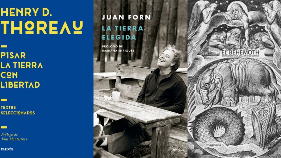 Lecturas