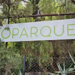 El Ecoparque de Mendoza reabrió sus puertas.