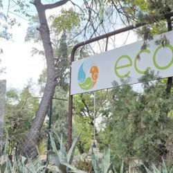 Mendoza busca demostrar que es posible reconciliar el espacio público con el respeto natural.