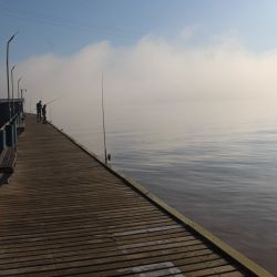 La mayoría de las capturas se ubicó entre los 15 y 35 cm, aunque también aparecieron ejemplares destacados que rozaron los 40 cm, aportando emoción extra a cada pasada.