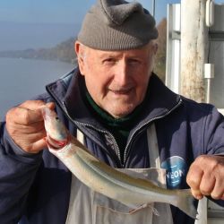 La mayoría de las capturas se ubicó entre los 15 y 35 cm, aunque también aparecieron ejemplares destacados que rozaron los 40 cm, aportando emoción extra a cada pasada.
