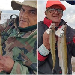 Con aguas más transparentes, temperaturas en descenso y cardúmenes concentrados, junio, julio y agosto representan la mejor oportunidad del año para capturar un verdadero matungo. 