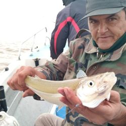 Con aguas más transparentes, temperaturas en descenso y cardúmenes concentrados, junio, julio y agosto representan la mejor oportunidad del año para capturar un verdadero matungo. 