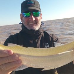 Con aguas más transparentes, temperaturas en descenso y cardúmenes concentrados, junio, julio y agosto representan la mejor oportunidad del año para capturar un verdadero matungo. 