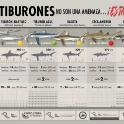La nueva cartelería busca acercar información clara a pescadores y visitantes sobre la importancia de proteger a estos grandes depredadores marinos. 