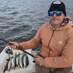 Ubicada a unos 180 km de la Capital Federal, este ámbito dispone de buenos servicios y abundancia de especies calificadas como lo es el pejerrey y, en temporada de verano, la lisa. 