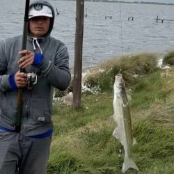 Los conocedores de la laguna destacan que muchos de los ejemplares capturados muestran un desarrollo sobresaliente, producto del crecimiento sostenido que tuvieron durante los últimos años gracias al cuidado del recurso y a una menor presión sobre el ambiente.