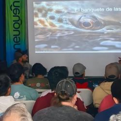 Las capacitaciones incluyen clínicas de Fly Cast, talleres de atado de moscas, cursos de entomología aplicada, lectura de aguas, seguridad en ambientes naturales y conceptos vinculados a la ética y conservación de los recursos pesqueros. 