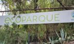 Reabrió el Ecoparque de Mendoza tras estar 10 años cerrado
