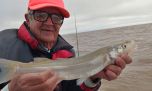 Es la hora de los matungos: pejerreyes trofeo en el Río de la Plata norte