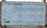 Tiburones en peligro: colocan carteles informativos para fortalecer la pesca responsable en Río Negro