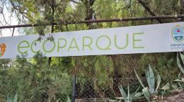 0906_ecoparque mendoza