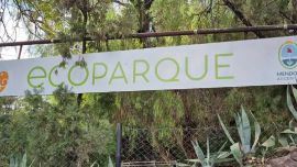 El Ecoparque de Mendoza reabrió sus puertas.