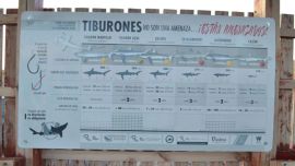 La nueva cartelería busca acercar información clara a pescadores y visitantes sobre la importancia de proteger a estos grandes depredadores marinos.