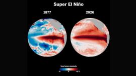 Calor anómalo y lluvias: qué puede provocar la llegada de El Niño en la Argentina
