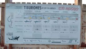 0906_TIBURONES