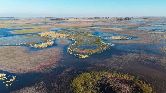 La temperatura récord en el Pacífico alertó a los especialistas por el impacto del "Súper El Niño" en Argentina