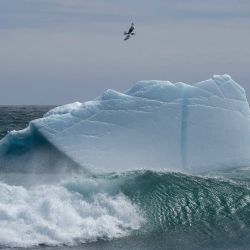 Un iceberg flota cerca de la costa en el océano Atlántico, en la Reserva Ecológica de Mistaken Point, frente a la costa de Portugal Cove South, Terranova, Canadá. Cada primavera, los icebergs se desprenden de la isla de Baffin y Groenlandia y se desplazan a lo largo del tramo de agua que bordea la costa de Terranova y Labrador, conocido como el "Corredor de los Icebergs". | Foto:Ken CEDENO / AFP
