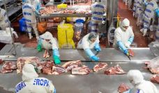 Carne vacuna