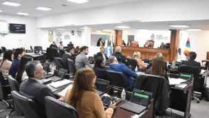 Cámara de Diputados del Chaco