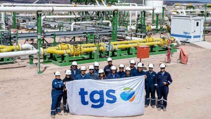 TGS inversión