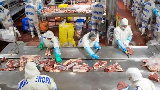 Andrés Costamagna sobre la importación de carne: "Traemos co