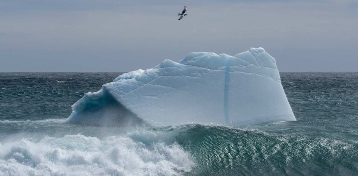 Un iceberg flota cerca de la costa en el océano Atlántico, en la Reserva Ecológica de Mistaken Point, frente a la costa de Portugal Cove South, Terranova, Canadá. Cada primavera, los icebergs se desprenden de la isla de Baffin y Groenlandia y se desplazan a lo largo del tramo de agua que bordea la costa de Terranova y Labrador, conocido como el "Corredor de los Icebergs".