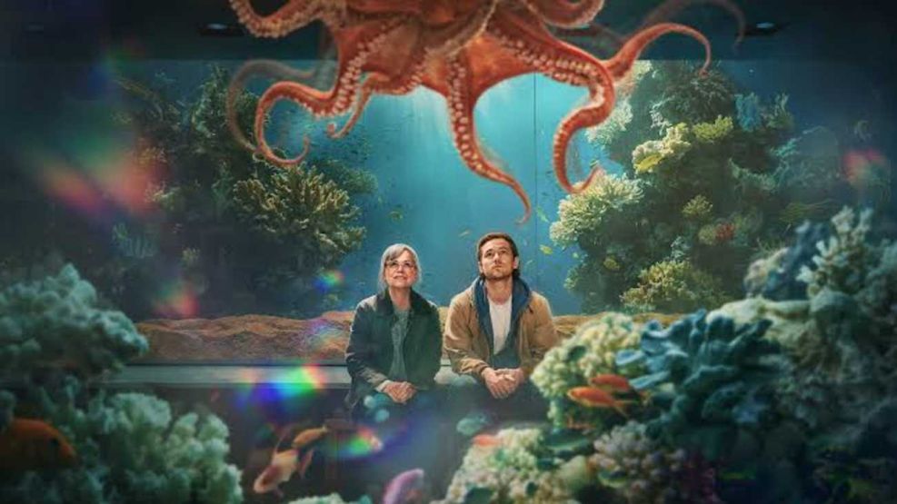 Criaturas luminosas en el acuario
