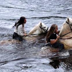 En la localidad de Appleby-in-Westmorland, al noroeste de Inglaterra, se bañan caballos en el río Eden. Este evento anual, una feria tradicional gitana, atrae a miles de viajeros de toda Gran Bretaña que se reúnen para comprar y vender caballos. | Foto:Annabel Lee-Ellis / AFP