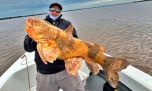 Un gigante del fondo: pescaron un manguruyú de 20 kilos en Corrientes