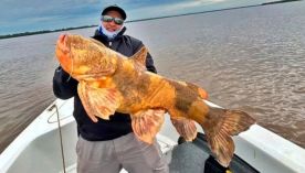 1106_PESCA