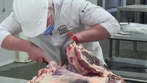 Carne vacuna