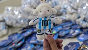 El peluche de Lionel Messi. 