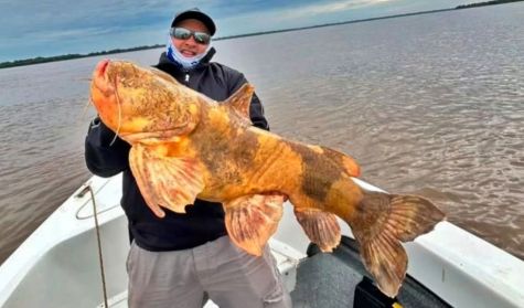 1106_PESCA