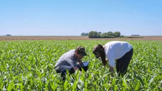 Desde el agro rechazan la adhesión al UPOV 91: “Deja al prod
