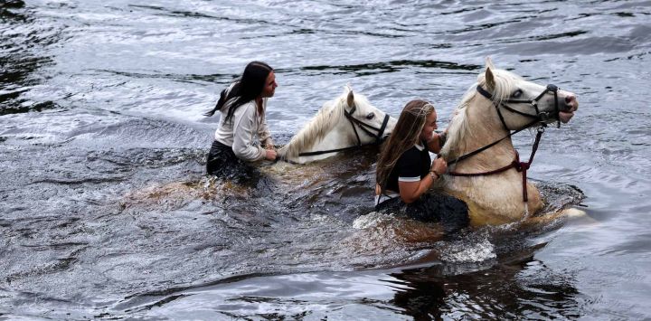 En la localidad de Appleby-in-Westmorland, al noroeste de Inglaterra, se bañan caballos en el río Eden. Este evento anual, una feria tradicional gitana, atrae a miles de viajeros de toda Gran Bretaña que se reúnen para comprar y vender caballos.