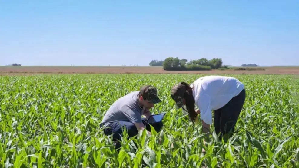 Productor agropecuario
