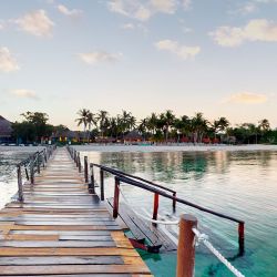 Iberostar: un clásico junto a las mejores playas.