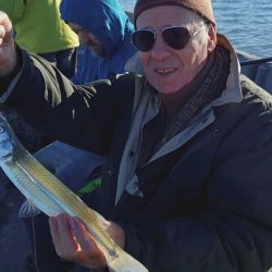 1206_mapa_pique_pesca