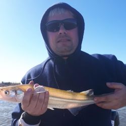 1206_mapa_pique_pesca