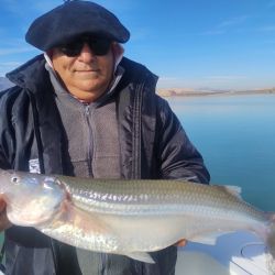 No hay pescado intermedio, es grande o juvenil, lo que lleva a esperas tediosas por momentos, aunque el premio es generoso: piezas de 2.1 a 2.9 kg, ejemplares muy difíciles de encontrar en cualquier otro lugar. 