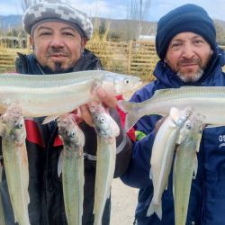 No hay pescado intermedio, es grande o juvenil, lo que lleva a esperas tediosas por momentos, aunque el premio es generoso: piezas de 2.1 a 2.9 kg, ejemplares muy difíciles de encontrar en cualquier otro lugar. 