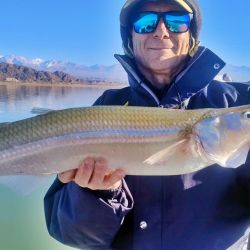 No hay pescado intermedio, es grande o juvenil, lo que lleva a esperas tediosas por momentos, aunque el premio es generoso: piezas de 2.1 a 2.9 kg, ejemplares muy difíciles de encontrar en cualquier otro lugar. 