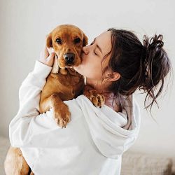 Los perros son los nuevos "hijos". | Foto:Pexels