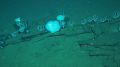Descubren un cementerio de ballenas con 476 fósiles.