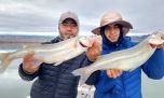 Los pejerreyes gigantes de San Juan que atraen pescadores de todo el país