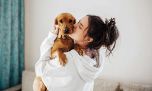 Perros: Lujos y servicios para los nuevos “hijos”