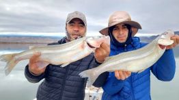 1206_PESCA 